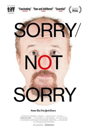 Sorry/Not Sorry poster