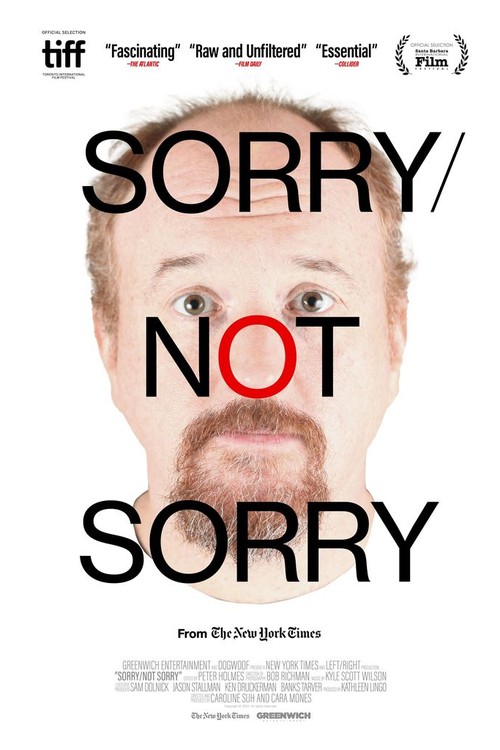 Sorry/Not Sorry poster