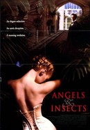 Angels and Insects poster image