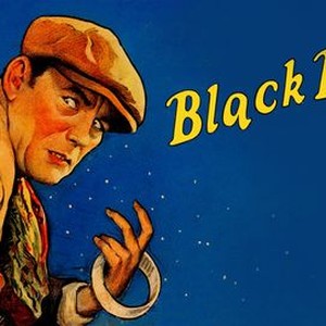 The Blackbird - Rotten Tomatoes