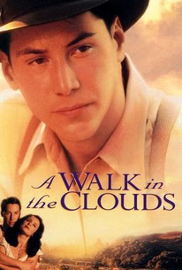 Poster for A Walk in the Clouds