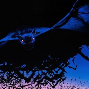 Bats photo 5
