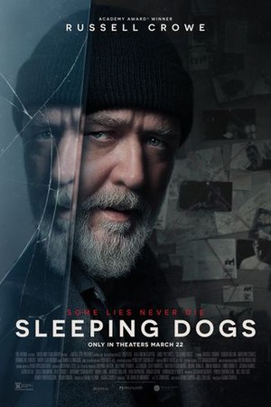 Sleeping Dogs poster