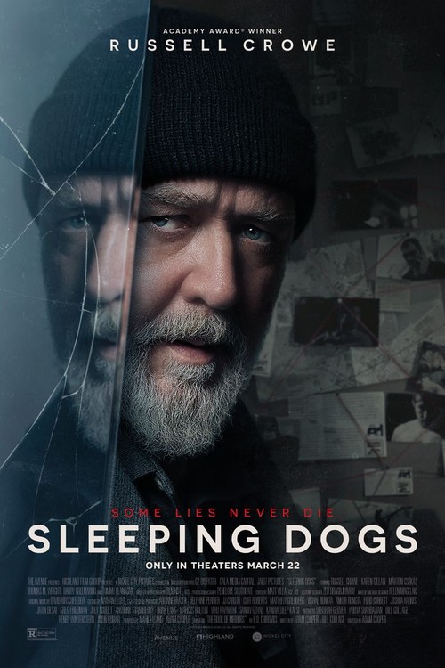 Sleeping Dogs poster