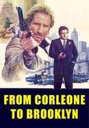 From Corleone to Brooklyn poster image
