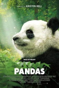 Pandas Movie Reviews Rotten Tomatoes