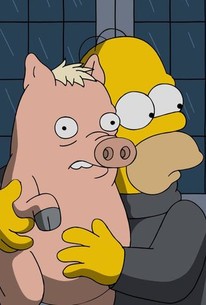 Pork and Burns poster image