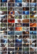 The Tree of Life poster image