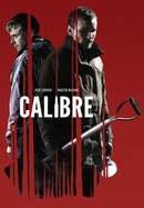 Calibre poster image