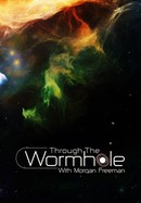 Through the Wormhole with Morgan Freeman poster image