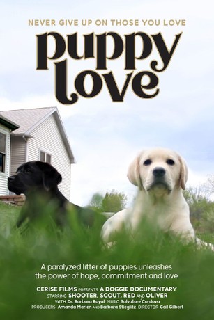 Puppy Love | Rotten Tomatoes
