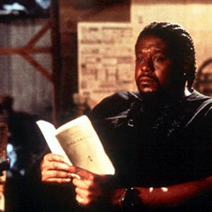 Forest Whitaker as Ghost Dog, a professional killer who lives by the precepts of the eighteenth century warrior text Hagakure: The Book of the Samurai, in Artisan's Ghost Dog: The Way Of The Samurai