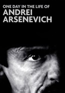 One Day in the Life of Andrei Arsenevich poster image