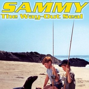 Sammy the Way Out Seal photo 3