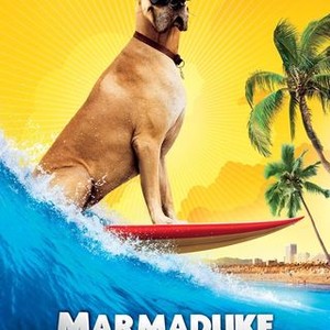 Marmaduke cast sale dog breeds