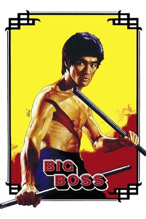 Fists of Fury poster