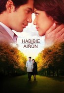 Habibie & Ainun poster image