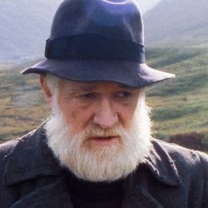 The Field (1990) photo 12