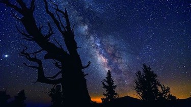 その他 Visions of Nature: Timescapes [Blu-ray] Visions of Nature: Timescapes [Blu-ray]