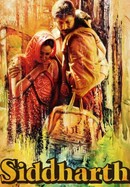 Siddharth poster image