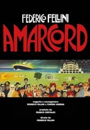 Amarcord poster image