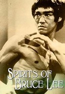 Spirits of Bruce Lee poster image