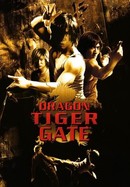 Dragon Tiger Gate poster image