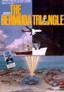 The Bermuda Triangle poster image