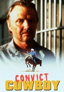 Convict Cowboy poster image