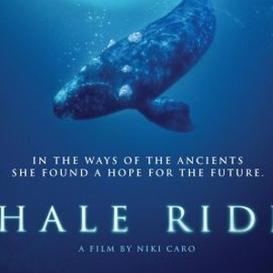 Whale Rider photo 12