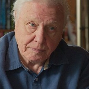 David Attenborough's Zoo Quest in Colour - Rotten Tomatoes