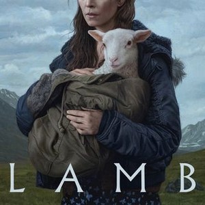 Lamb photo 8