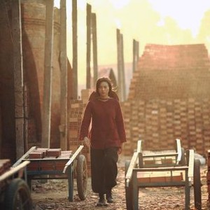 Ngô Thanh Vân - Rotten Tomatoes