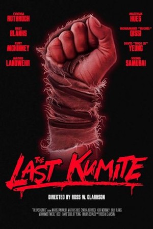 The Last Kumite poster