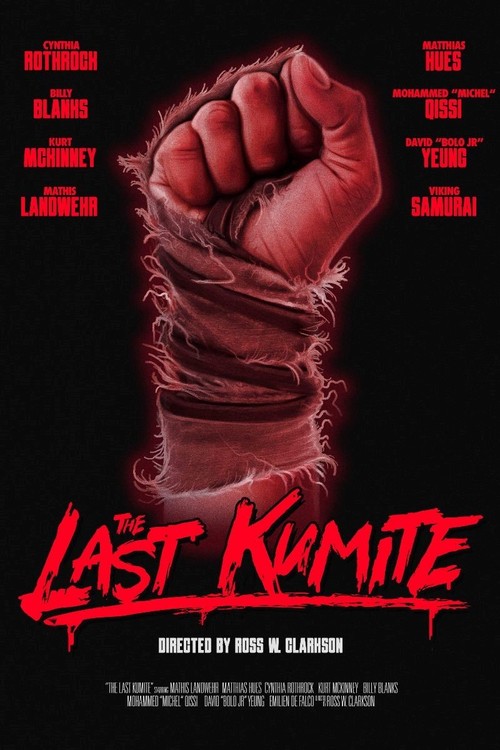 The Last Kumite poster