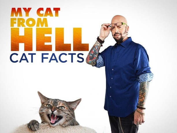 My Cat From Hell Cat Facts Season 1 Episode 2 Rotten Tomatoes