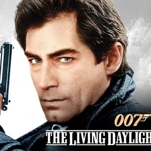 "The Living Daylights photo 10"