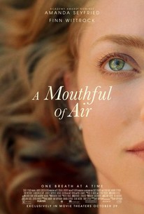 A Mouthful of Air poster