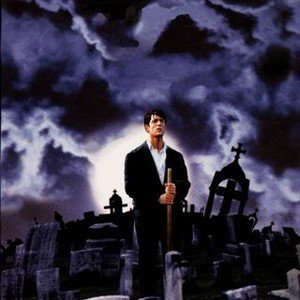 Cemetery Man (1995)
