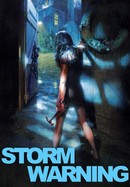Storm Warning poster image