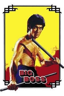 Bruce Lee  Rotten Tomatoes