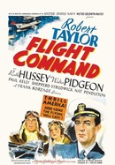 Flight Command poster image