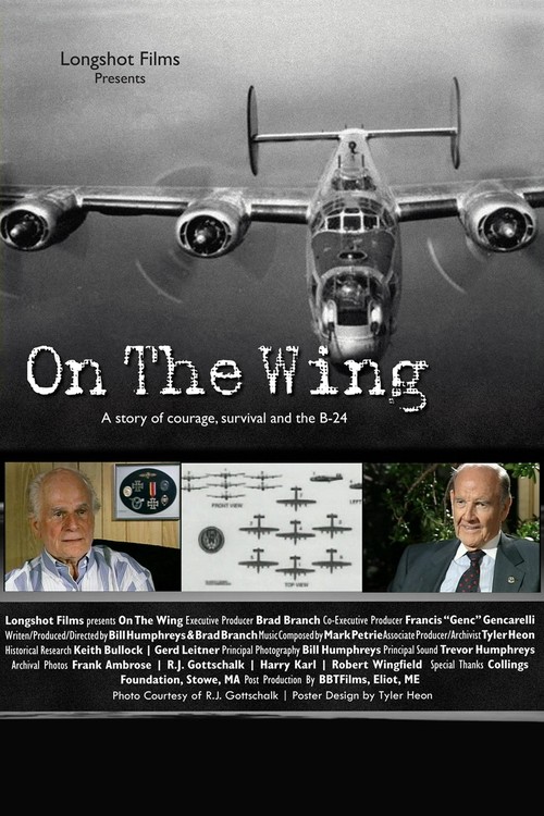 On The Wing poster