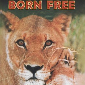Born Free photo 6