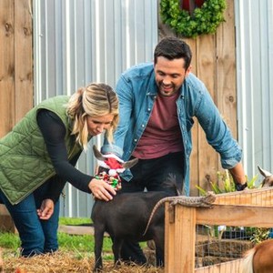 Hometown Christmas 2022 Lifetime Hometown Christmas - Rotten Tomatoes