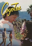 Coyotes poster image