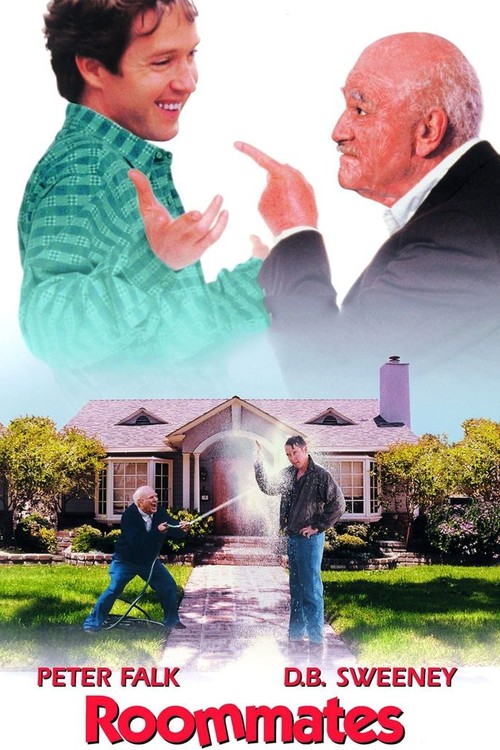 Roommates poster