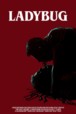Ladybug poster
