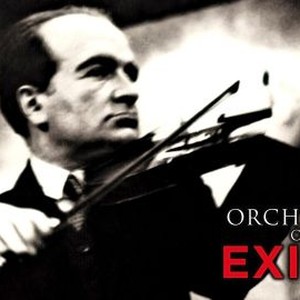 Orchestra of Exiles photo 17