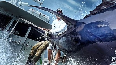 Wicked Tuna: Season 13 | Rotten Tomatoes